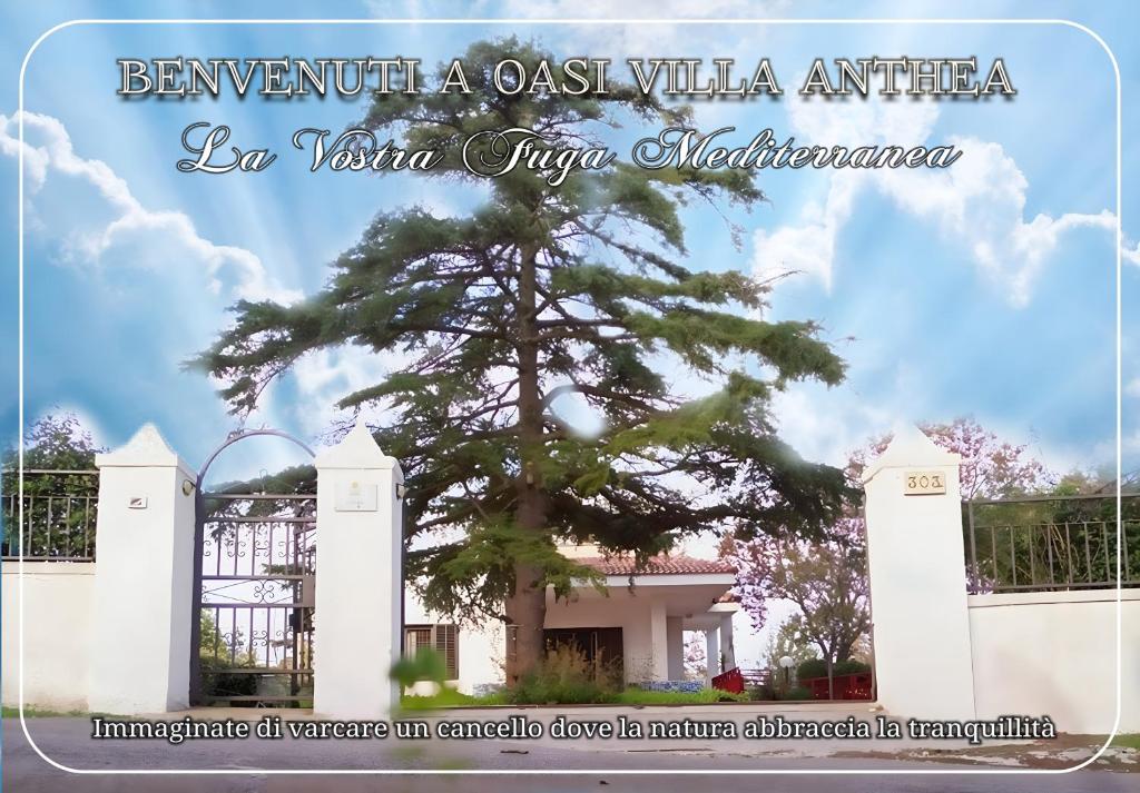 Oasi Villa Anthea - 3