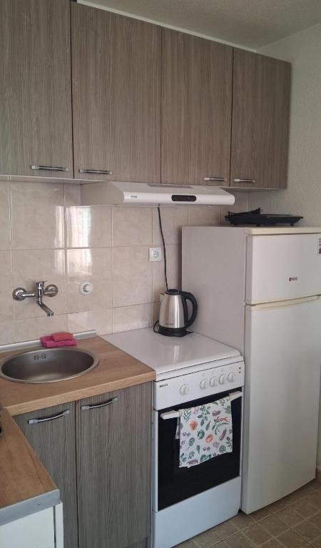 Apartman Mirkovic - 2
