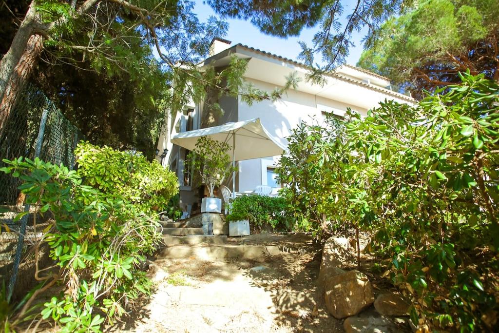 Villa Palangre - 4
