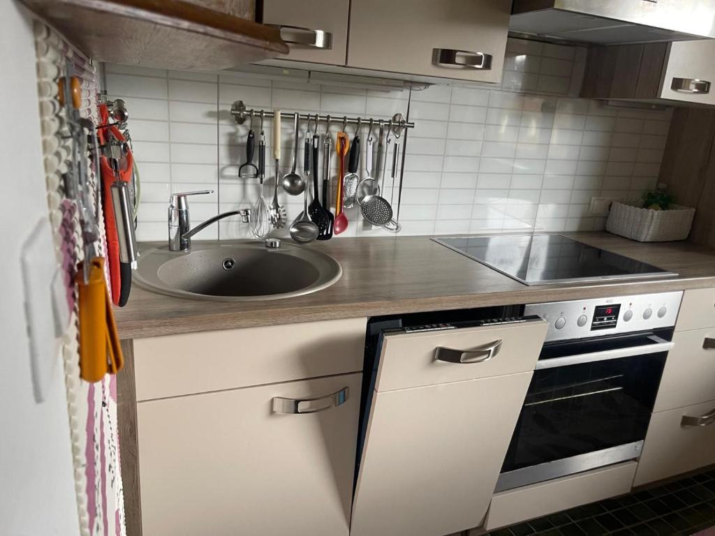 Appartement Moni XXL 55m2 - 4