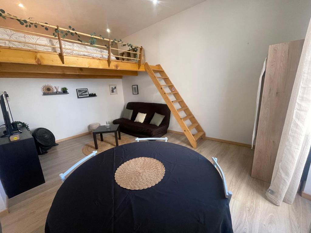 Appartement studio plein centre - 1