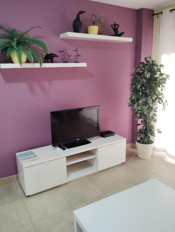 C/Loft terrazas de la Marina - 5