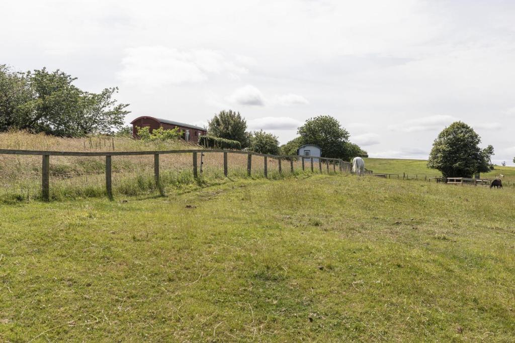 Foxglove Shepherd's Hut photo 5