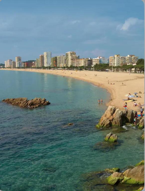 Beachfront Bellavista - 2