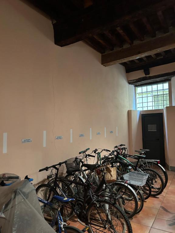 Casa LUCCA Burlamacco - 5