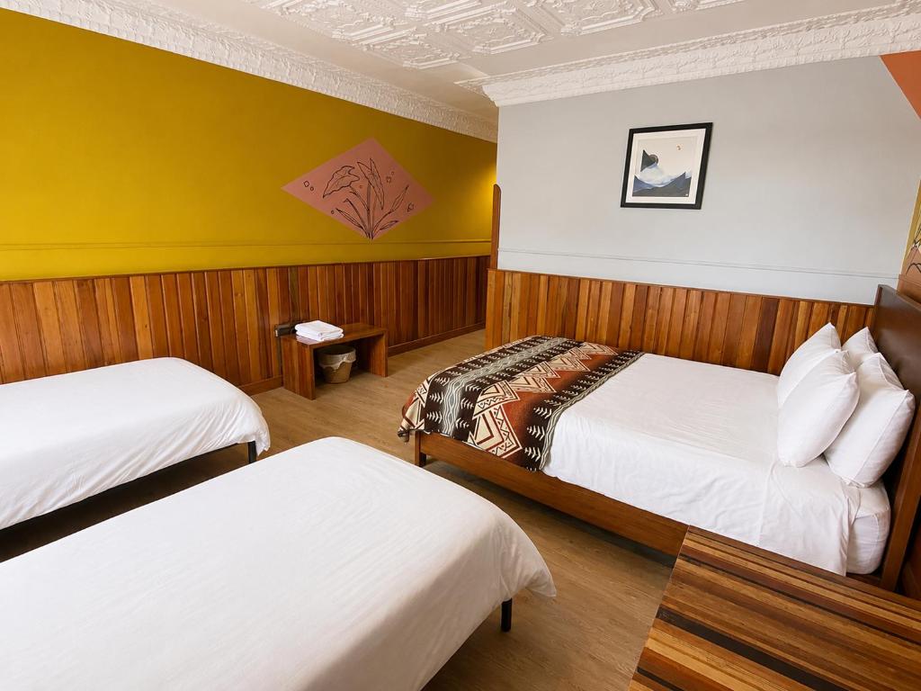 Cavi Rooms 206 - 2