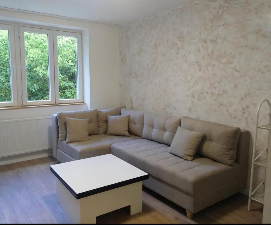 Ami - 1