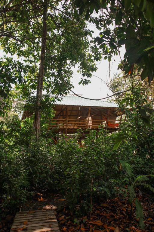 Madre Selva Eco Lodge - 2