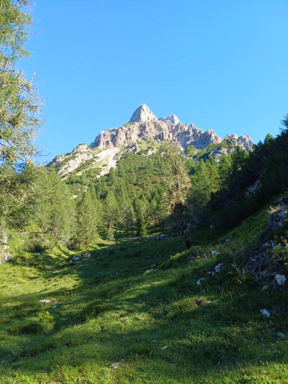 Appartamento Tenaglia - 2