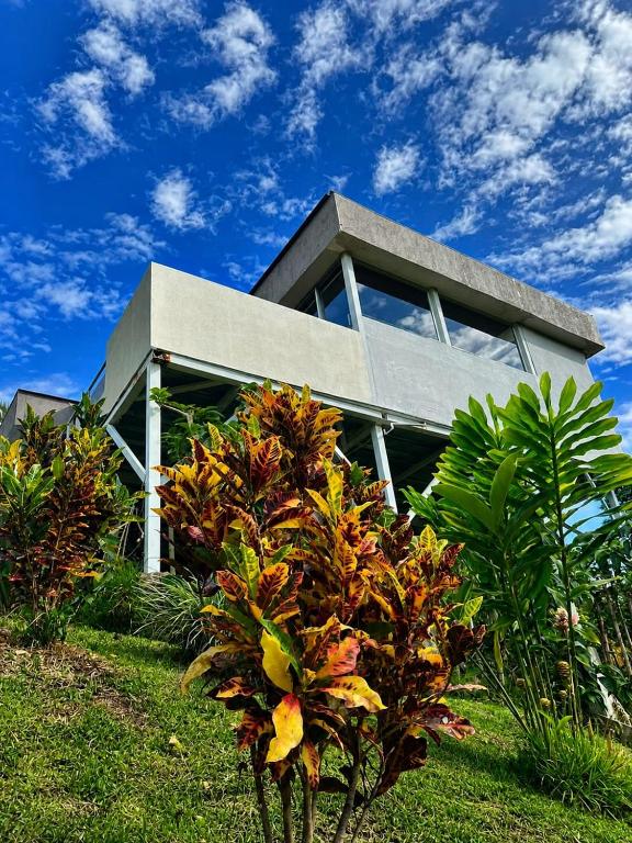 Glamping Jalisco - 2