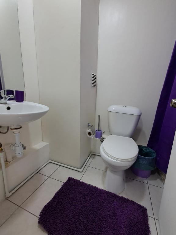 Apartamento equipado con cocina, wifi, baño l Movistar Arenas, Fantasilandia, Santiago centro - 5