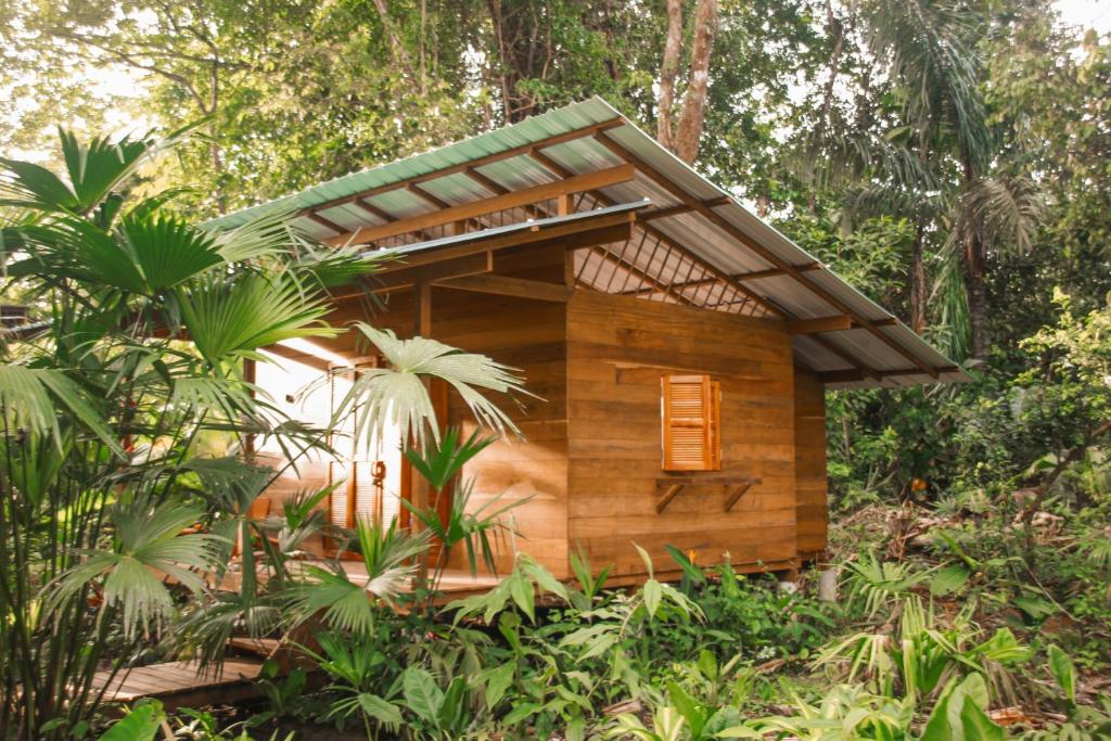Madre Selva Eco Lodge - 5