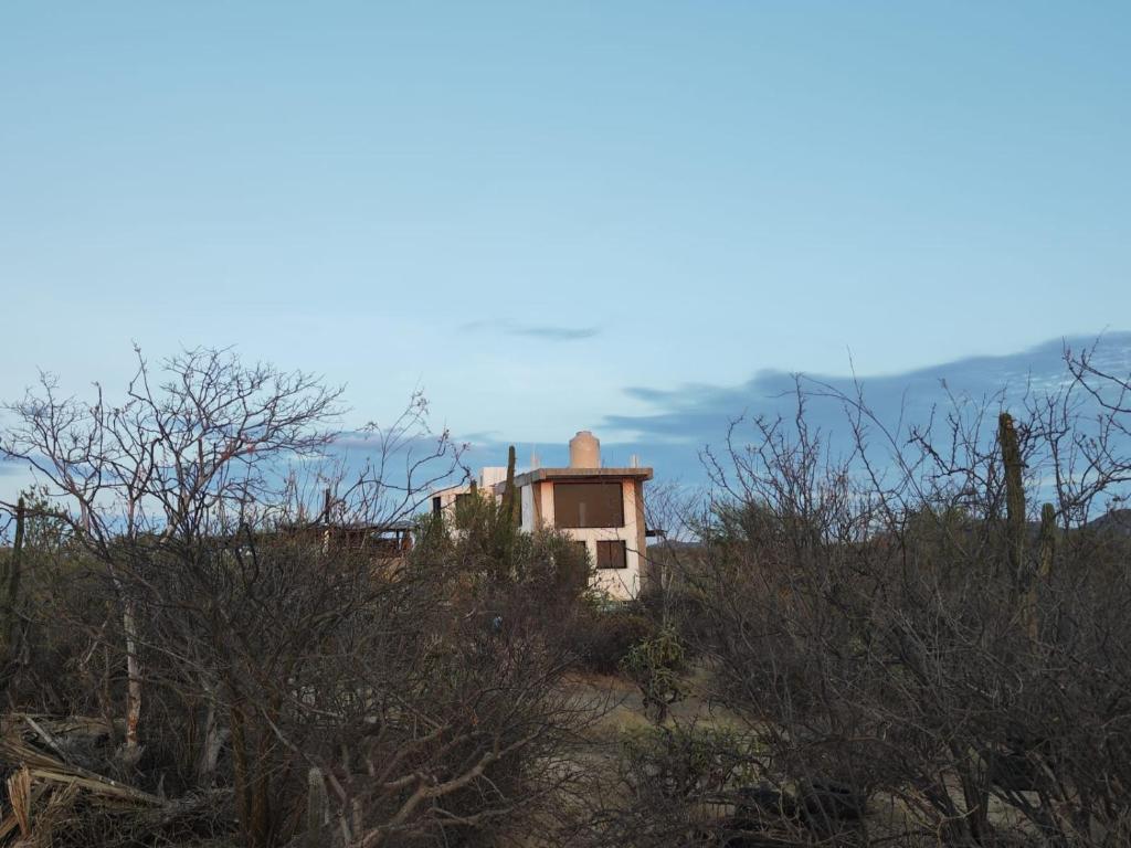 The Earthship and the Serpent - 2