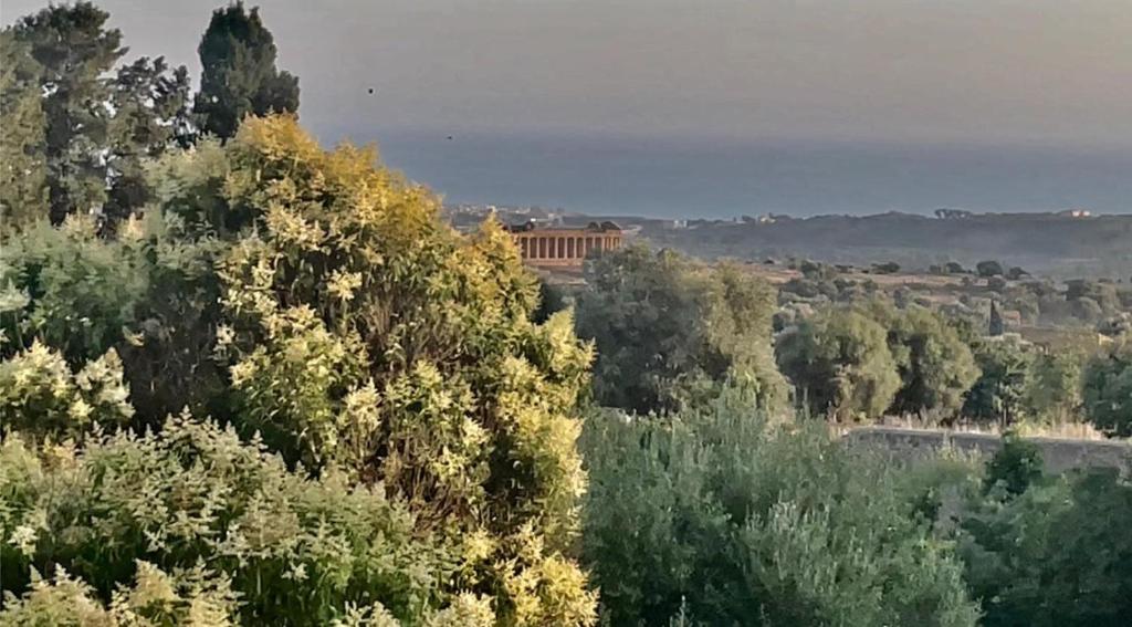 La Villa di Minerva - 4