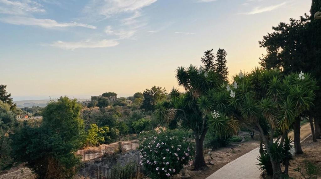 La Villa di Minerva - 3