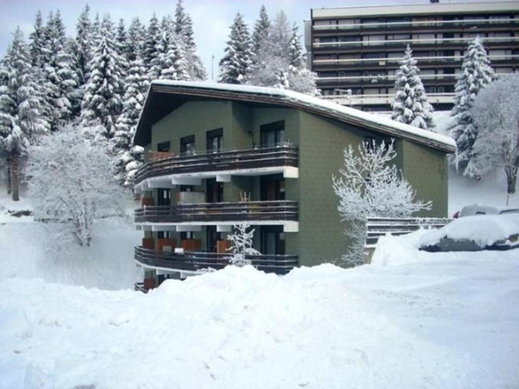 Appartement chalet contemporain - 8 pers. - FR-1-340-289 - 2