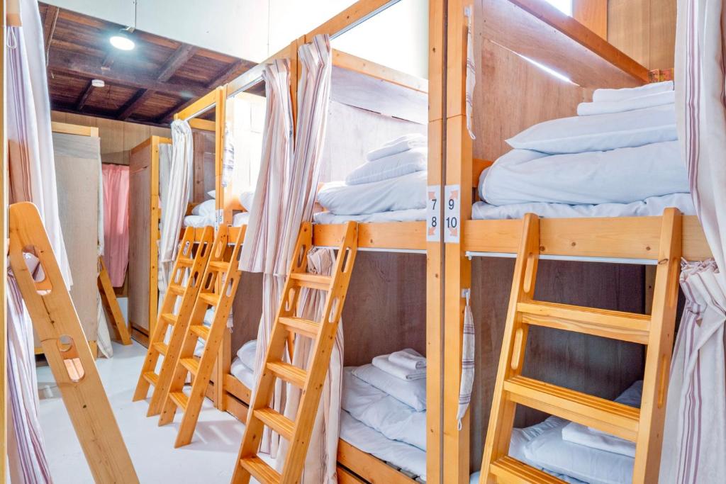 Dormitory My Flower