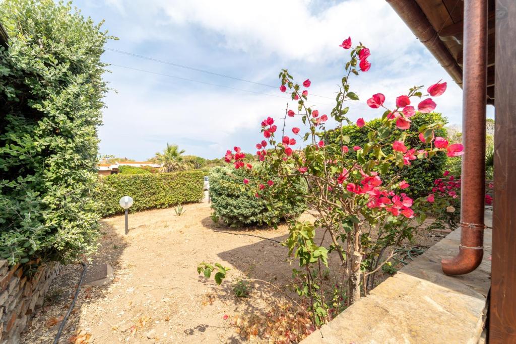 Villa Barbarossa - Stintino - 3
