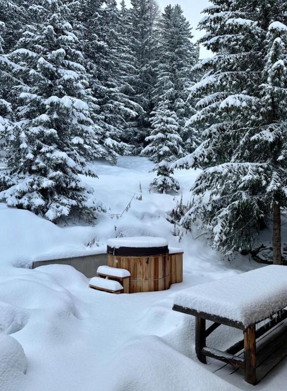 Chalet Vermont Courchevel 1850 - 4