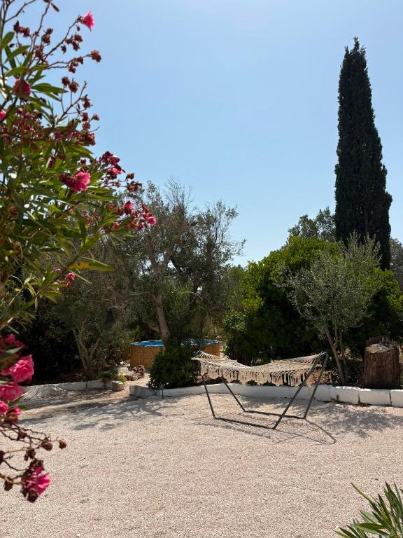 Trullo Luce delle Stelle - 4