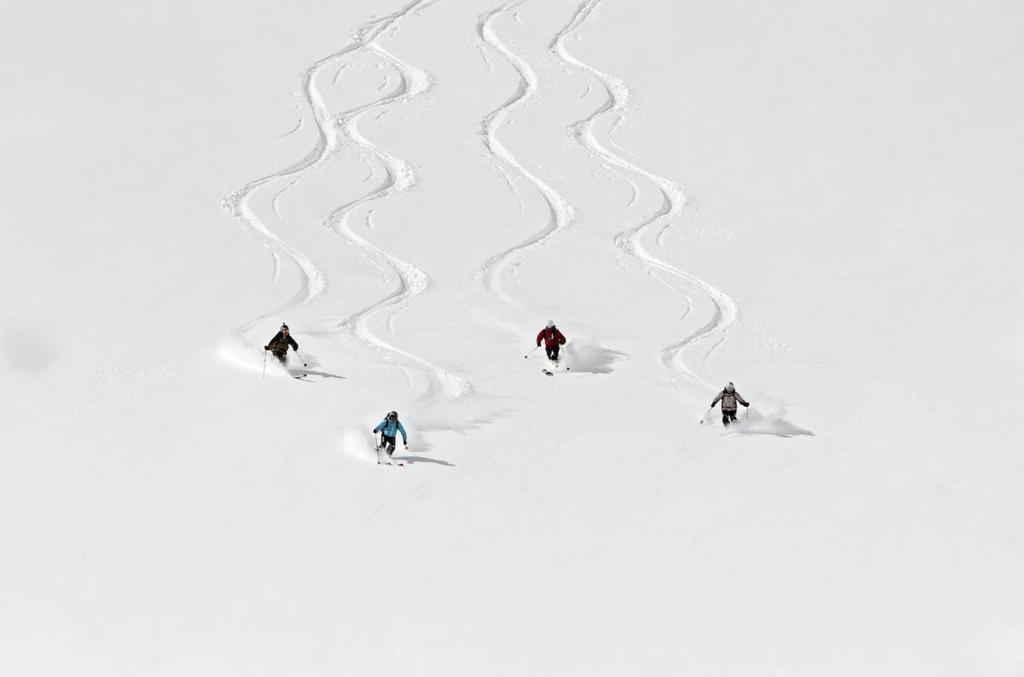 The cabin in the Alps - Wifi and Free Parking - 3