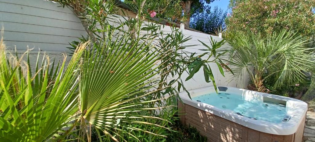 Appartement Jardin et Spa - 3