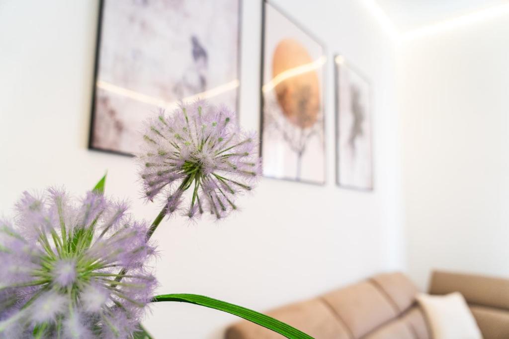 Suite Emmina central apartment in Bologna - 2