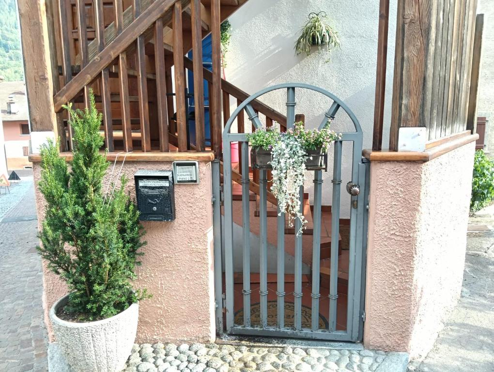casa Silene - 1