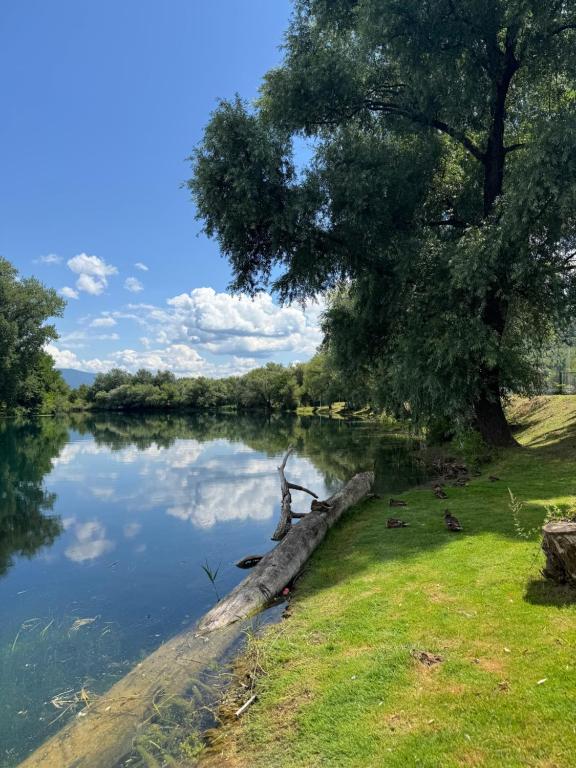 Riverside Villa Bihac Center - 3