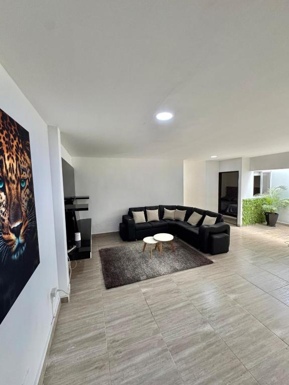 Spacious home in Laureles Estadio Medellin - 5
