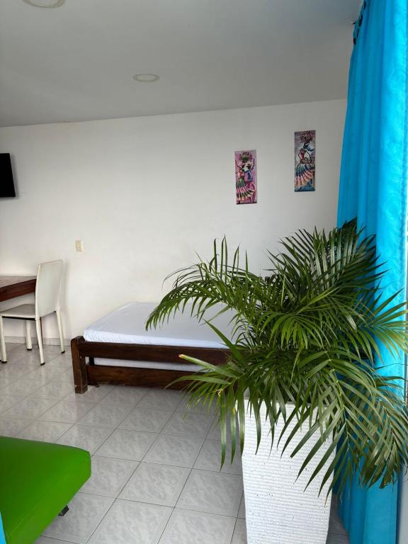 Cómodo apartamento con vista al mar - 5