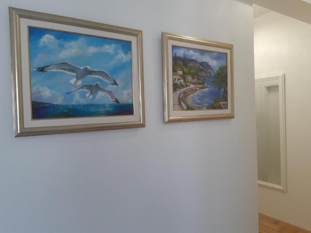 Apartman Ana Marija - 5