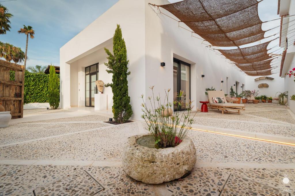 Casa Chica Boutique - 2