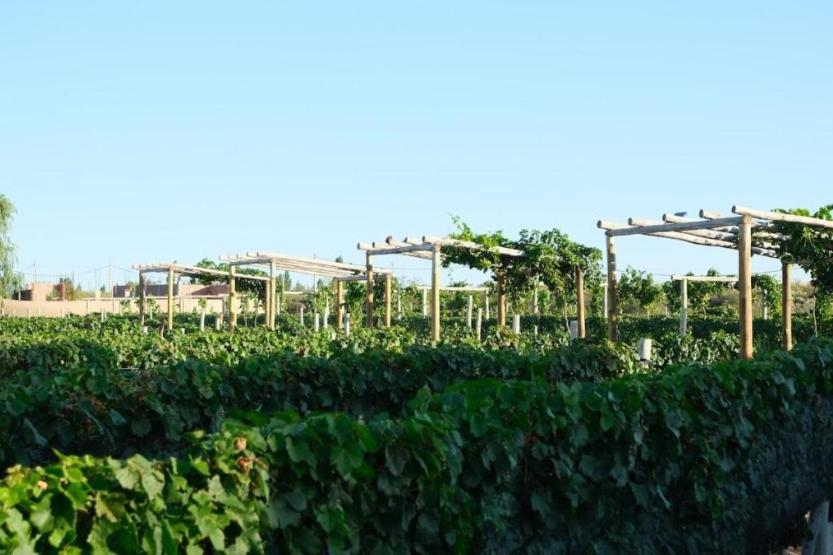 Rincon del Malbec 3 - 5