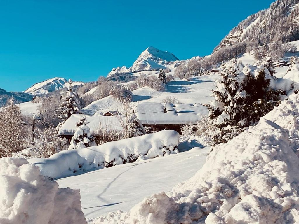 Appartement Praz sur Arly le plein soleil - 4