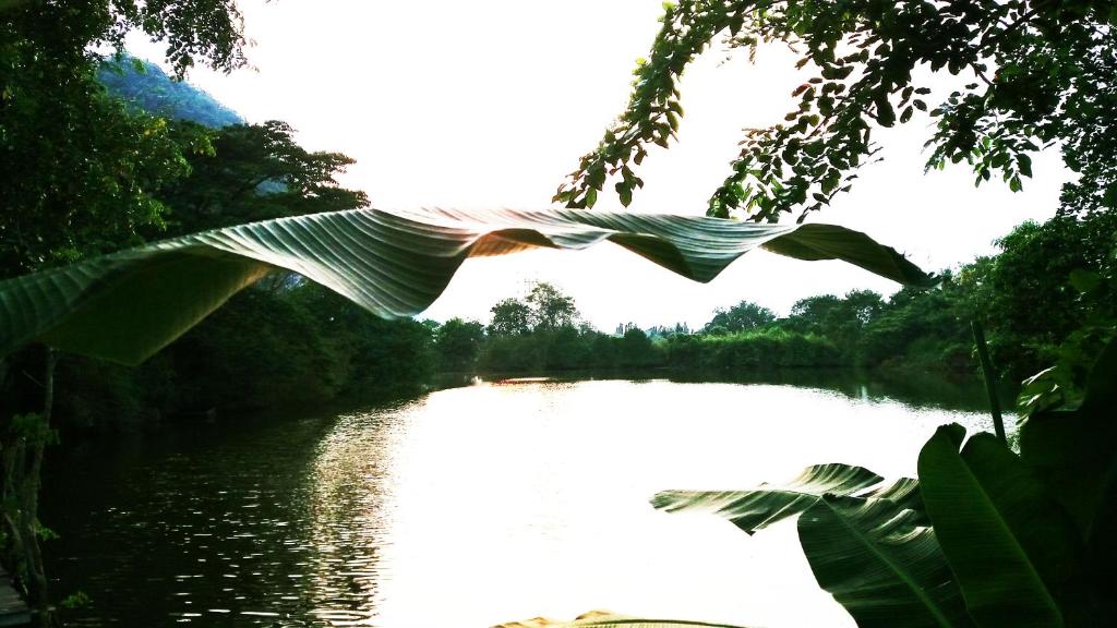 Surrounding environment