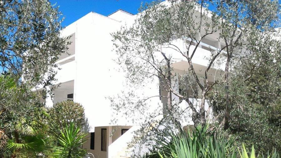 Vieste Gallo Family Residence - 4