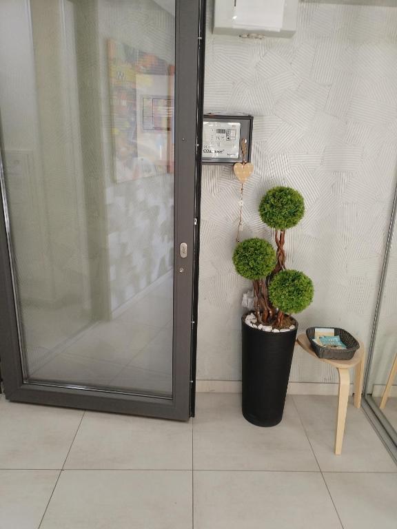 Apartman Vracar - 5