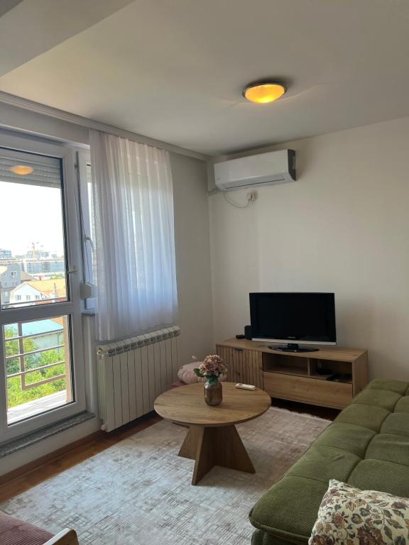 Apartman u Vojvode Vlahovica - 2