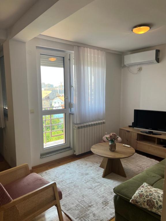 Apartman u Vojvode Vlahovica - 5