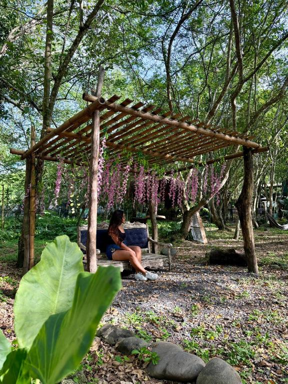 Ecolodge Camping - 4