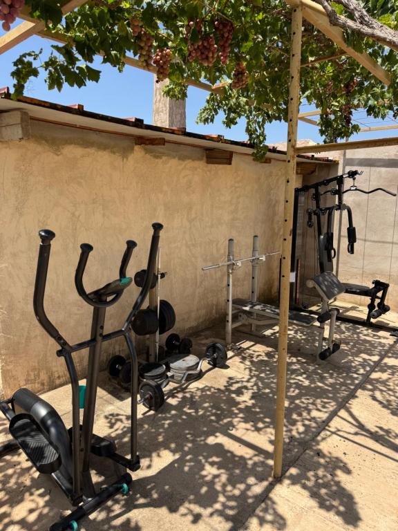 Finca moderna en ambiente rural, Agost - 2