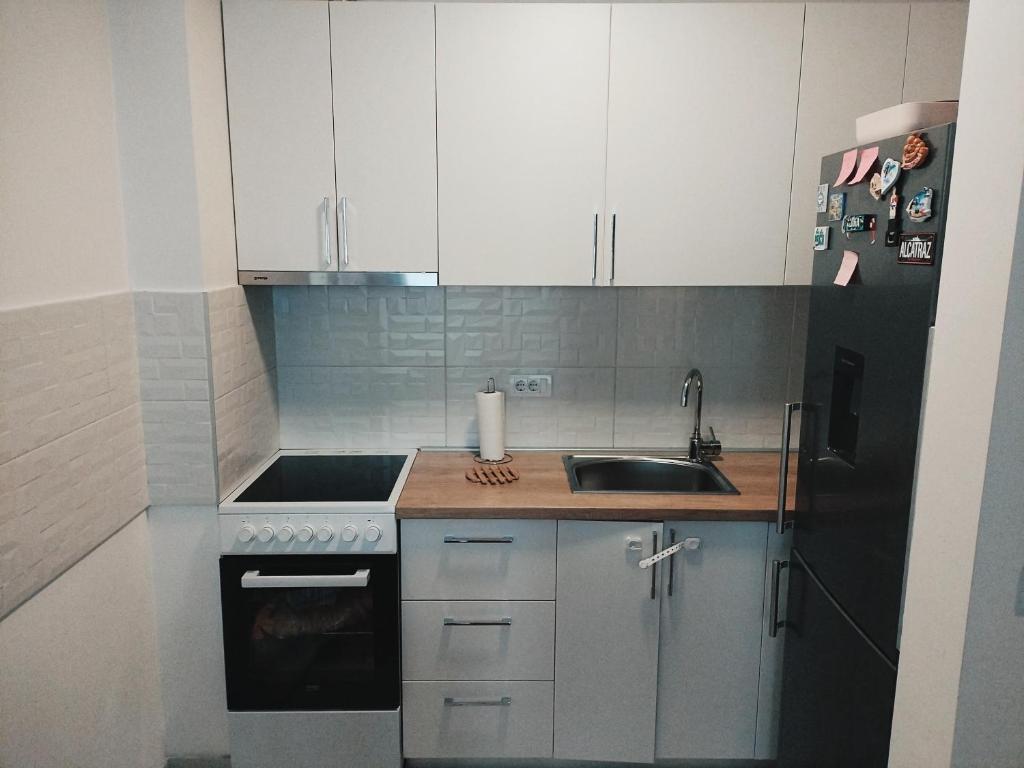 Apartman Vracar - 2