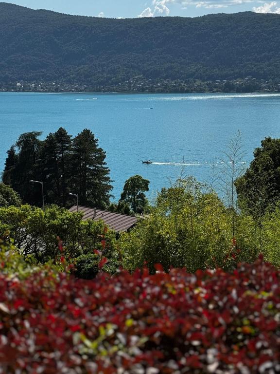 Magnifique 2 pièces avec vue sur le Lac - 1