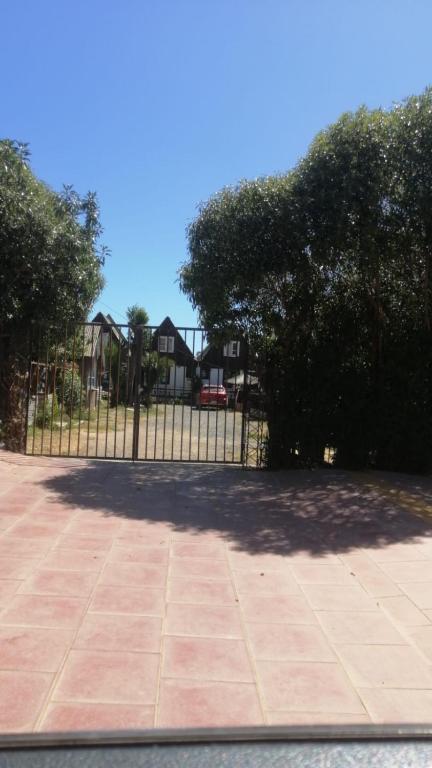 wsp cincoseisnueve ocho ocho cero 42504 - 1