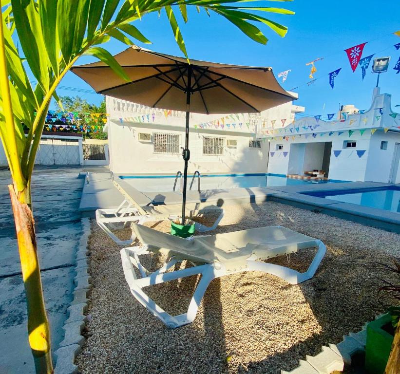 Hostel Treebu - 4