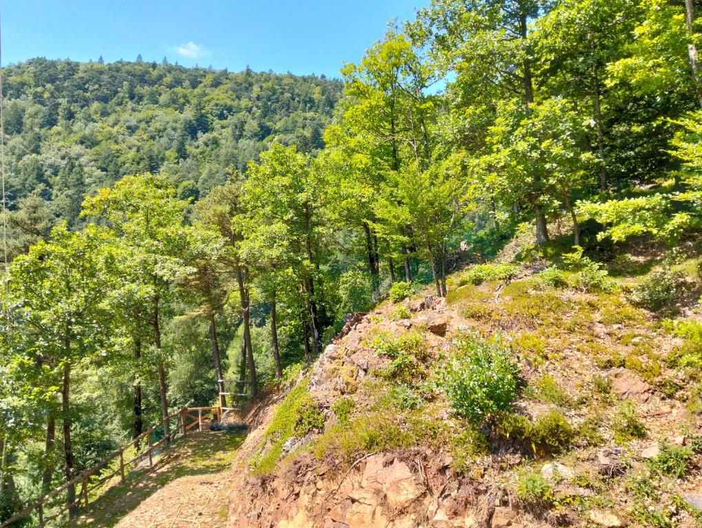 Maso dell'Alba - Ponciach - Altavalle - 2