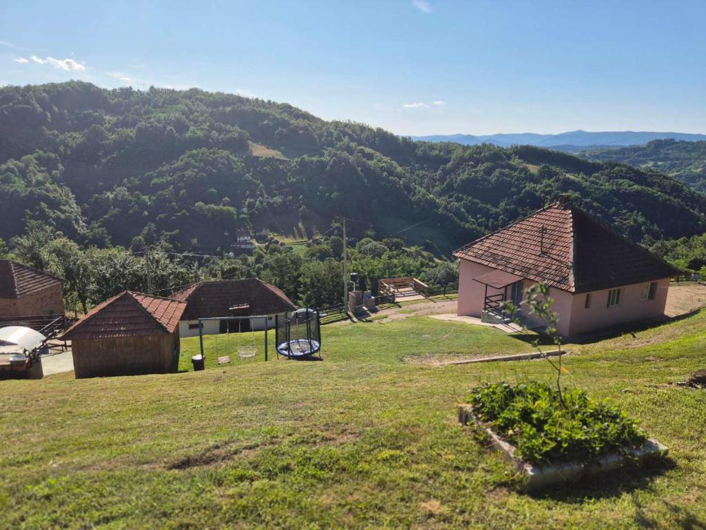Seosko domacinstvo Radovanovic - 5