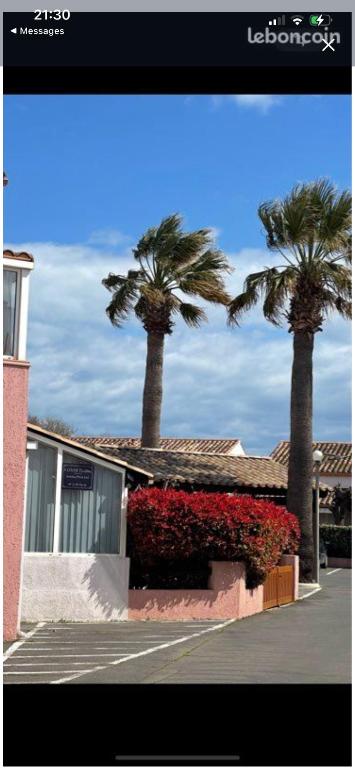 Casa sand - 2