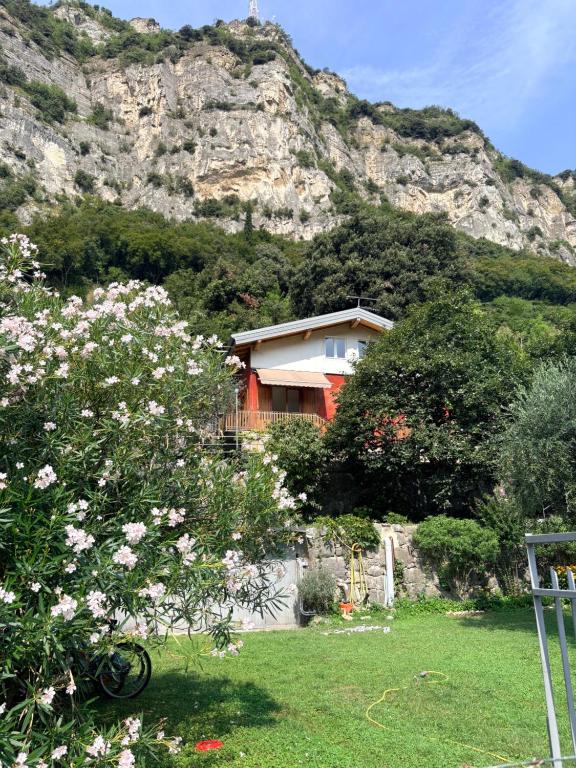 Wind's Garden - Apartments Torbole - 1
